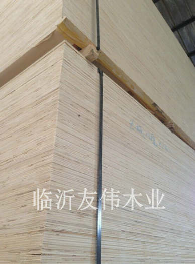 異形托盤板不可貌相，發(fā)展前景不可限量